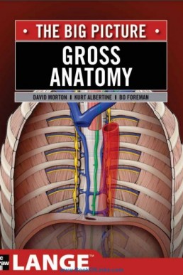 The Big Picture Gross Anatomy - Dr Notes