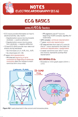 ECG Basics Notes PDF By Osmosis - Dr Notes